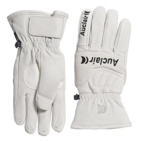Auclair Speed Demon Gloves - Waterproof, Insulated, Leather (For Men)