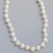 Jokara Shell Pearl Necklace - 10mm