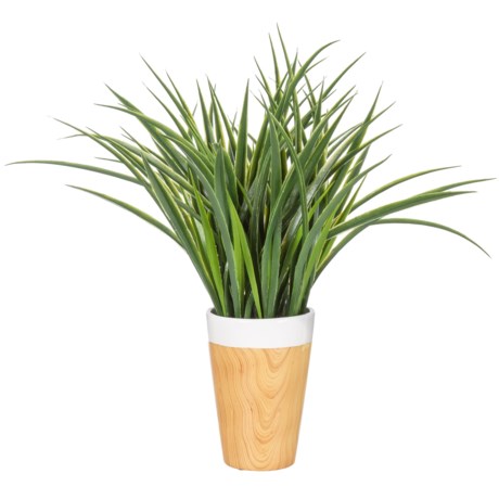 Siena Floral Accents Grass in Ceramic Pot - 18”