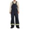 Carhartt FR Extremes® Arctic Bib Overalls - Insulated (For Men)