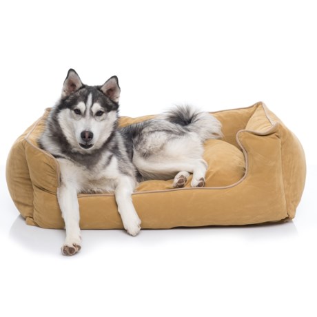 Carolina Pet Velvet Microfiber Kuddle Lounge Dog Bed - 36x27”