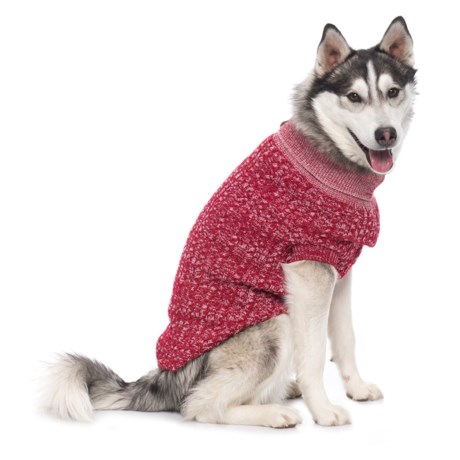 Go Fresh Pet Salen Dog Sweater