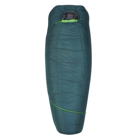 Kelty 20°F Tru Comfort ThermaPro Sleeping Bag - Mummy, Long