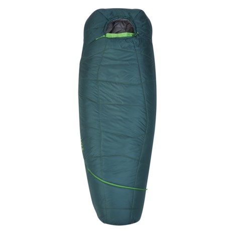 Kelty 20°F Tru Comfort ThermaPro Sleeping Bag - Mummy, Regular