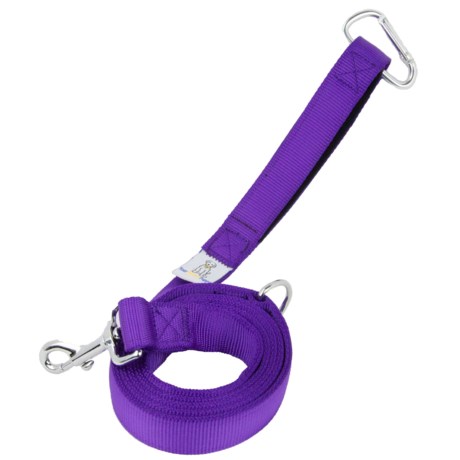 Your Perfect Puppy Regular Dog Leash - 5’8”