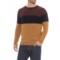 Peregrine Hurley Color-Block Sweater - Merino Wool (For Men)