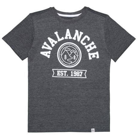 Avalanche Circle Graphic Branded T-Shirt - Short Sleeve (For Big Boys)