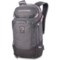 DaKine Team Jamie Anderson Heli Pro 20 L Backpack (For Women)
