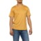 Ibex Springbok T-Shirt - Merino Wool, Short Sleeve