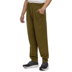 Ibex Hero Joggers - Merino Wool