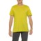 Icebreaker Sphere II T-Shirt - Merino Wool, Short Sleeve