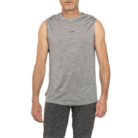 Icebreaker Sphere II T-Shirt - Merino Wool, Short Sleeve