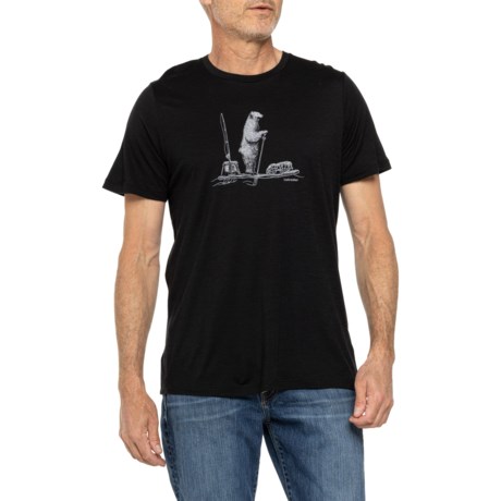 Icebreaker Tech Lite II Graphic T-Shirt - Merino Wool, Short Sleeve