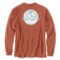 Carhartt 105955 Relaxed Fit Heavyweight Mountain Graphic Shirt - Long Sleeve, Factory Seconds