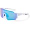 Coyote Eyewear Cobra Sunglasses - Polarized Mirror Lens