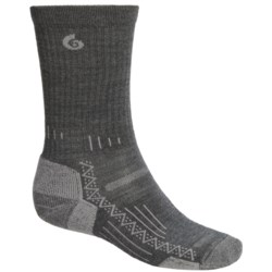 Point6 Hiking Tech Socks - Merino Wool, Crew (For Men and Women)