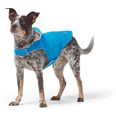 Free Country Brilliant Blue Dog Rain Jacket - Waterproof