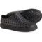 NATIVE Toddler and Little Boys and Girls Jefferson Shoes - Slip-Ons