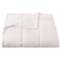 West Pacific Deluxe Down-Alternative White Blanket - King