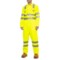 Dickies Enhanced Visibility Reflective Coveralls - Long Sleeve (For Men)