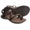 Chaco Rex Sport Sandals (For Men)