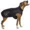 Hurtta Adjustable Raincoat For Dogs