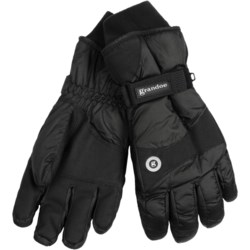 Grandoe Blazer ThermaDry Gloves - Waterproof (For Men)
