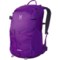 Haglofs 20 Backpack (For Men and Women)