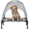 Coleman Small Pet Cot with Canopy - 24x17x7”