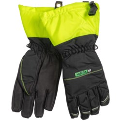 Hestra JOB C-Zone Pro Gloves - Waterproof, Insulated (For Men)