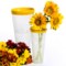 Tozai Glass Studio Tapered Vases - Set of 2