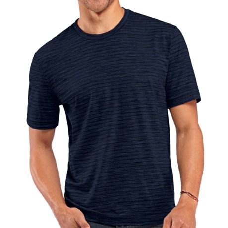 Icebreaker Tech Lite Stripe T-Shirt - UPF 20, Stretch Merino Wool, Short Sleeve (For Men)