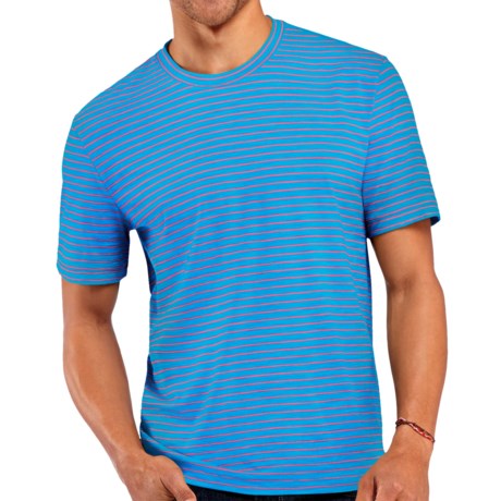 Icebreaker Tech T Lite Stripe T-Shirt - UPF 20, Merino Wool Blend, Short Sleeve (For Men)