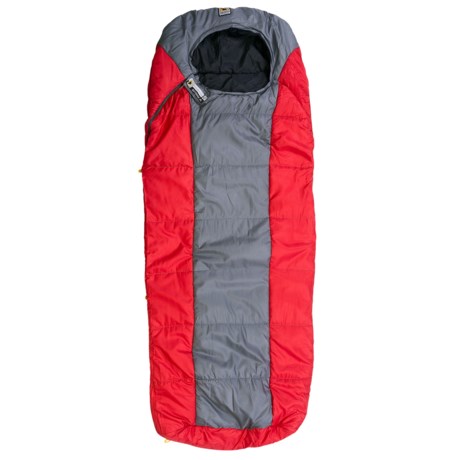 Mountainsmith 40°F Boreas Jr. Sleeping Bag - Synthetic, Rectangular (For Youth)