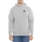 Carhartt 107064 Force® Logo Hoodie - Factory Seconds
