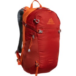 Gregory Salvo 18 L Backpack - Internal Frame, Burnished Orange
