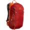 Gregory Salvo 18 L Backpack - Internal Frame, Burnished Orange