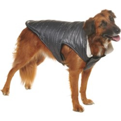 Silver Paw Easy Fit Dog Jacket with Sherpa Collar