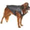 Silver Paw Easy Fit Dog Jacket with Sherpa Collar