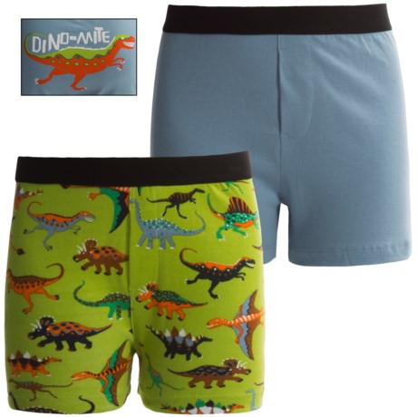 Hatley Print Boxers - 2-Pack (For Little Boys)