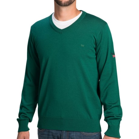 Dale of Norway Harald Sweater - Merino Wool, V-Neck (For Men)