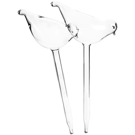 Global Amici Glass Plant Feeder - Set of 2