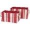 Tag Hudson Stripe Rectangular Crunch Bag - Set of 2