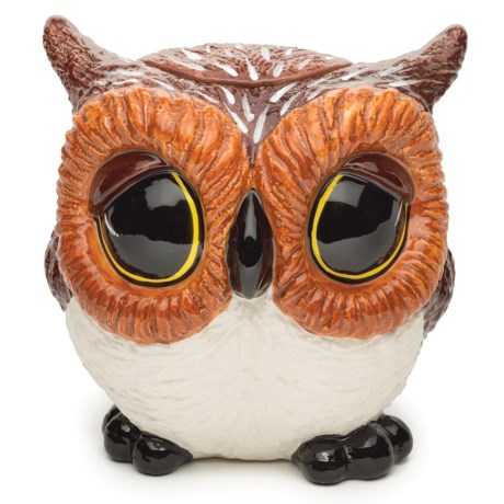 Big Sky Carvers Owl Cookie Jar