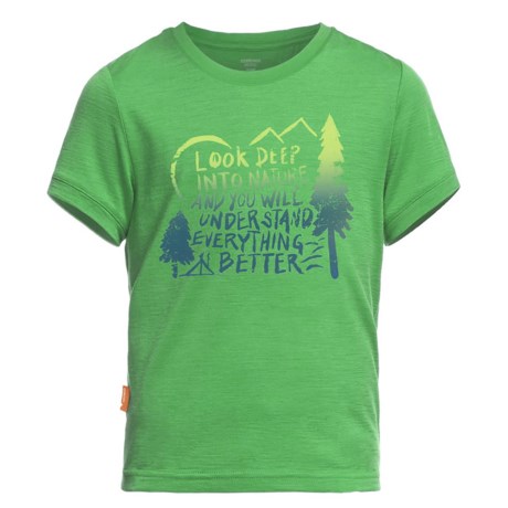 Icebreaker Tech Lite Camp Graphic T-Shirt - UPF 30+, Short Sleeve (For Little and Big Boys)