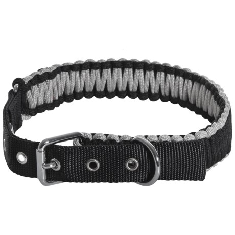 Aspen Pet Adjustable Paracord Collar - 22-26”