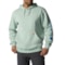 Carhartt K288 Loose Fit Midweight Logo Graphic Hoodie