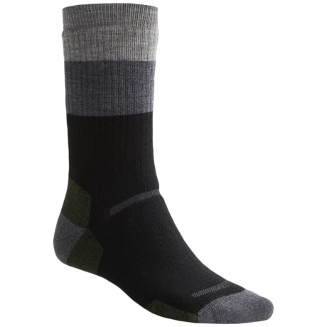 Point6 Block Stripe Socks - Midweight, Crew (For Men and Women)