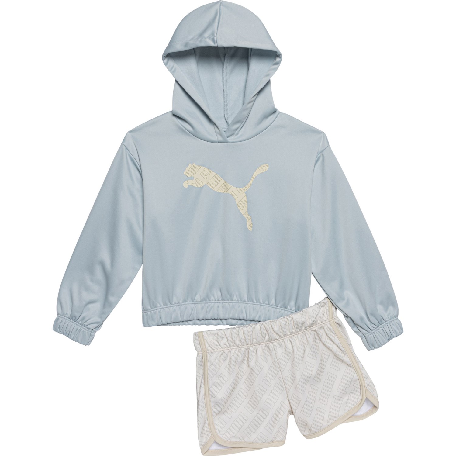 Puma Toddler Girls Fleece Hoodie and Tricot Shorts Set Baby Blue Size 2T Polyester