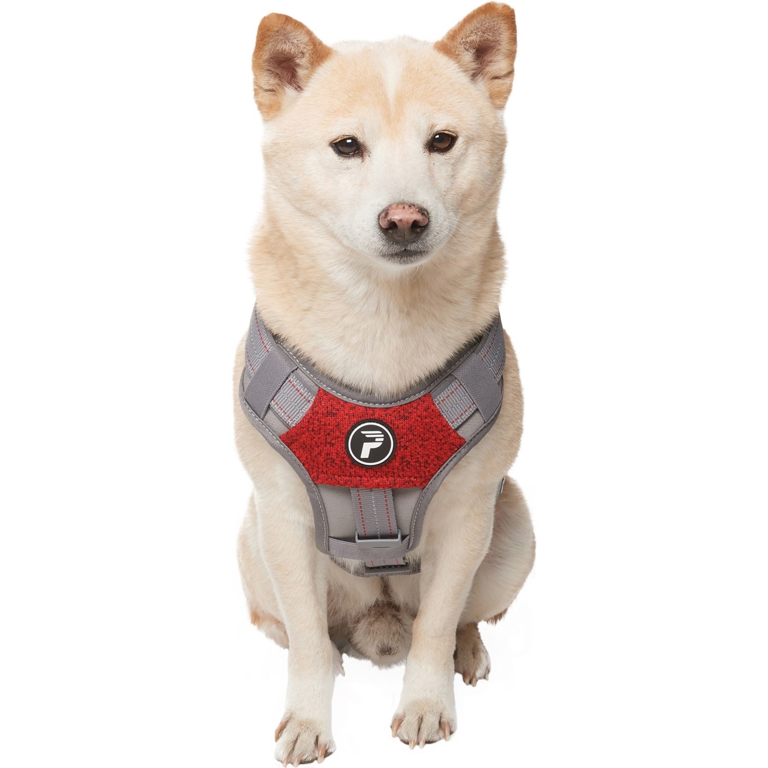 pet water bottle walmart